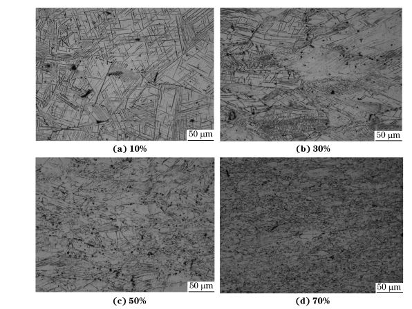 圖４ 在９８０ ℃、應(yīng)變速率為０．０１０s－１下壓縮至不同應(yīng)變量后GH４１６９合金的顯微組織