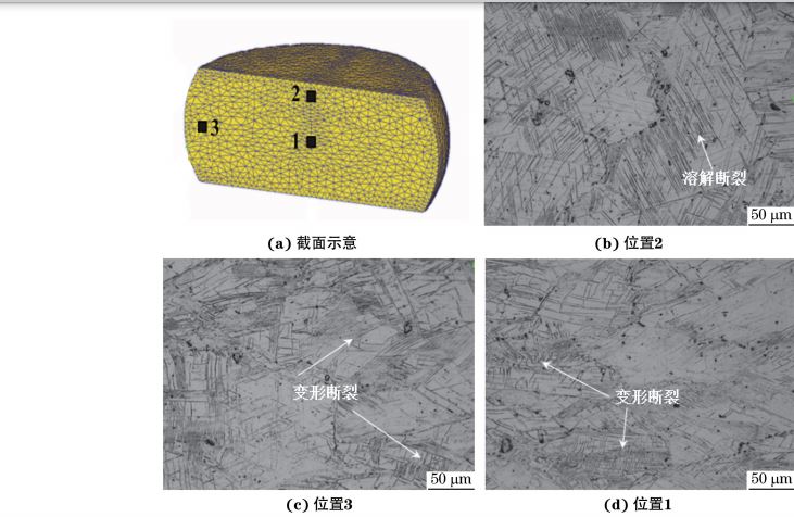 在９８０ ℃、應(yīng)變速率為０．０１０s－１下壓縮至應(yīng)變量為３０％后