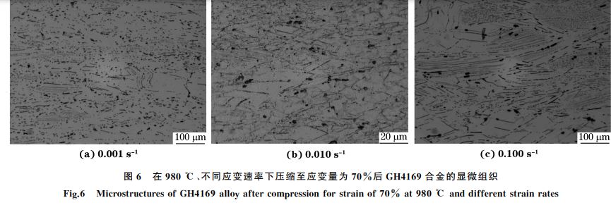 圖６ 在９８０ ℃、不同應(yīng)變速率下壓縮至應(yīng)變量為７０％